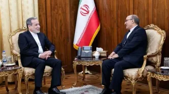 دیدار سفیر جدید ایران در زیمباوه با عراقچی