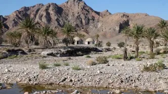 آخرین وضعیت  از خسارت جانی و مالی زلزله کرمان