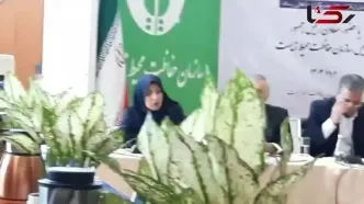 سازمان محیط زیست: هدف ما کاهش یا حذف کامل مازوت‌سوزی در نیروگاه‌هاست
