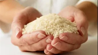 کاهش چشمگیر قیمت برنج ایرانی در بازار