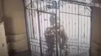 فیلم سوتی عجیب مأموران نظام وظیفه اوکراین / ناتوانی در باز کردن در، فرصت فرار ساخت