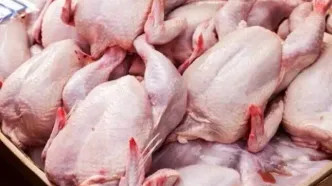 قیمت گوشت مرغ امروز شنبه ۱۸ مرداد ۱۴۰۴