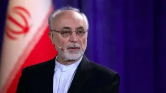 تقطیع سخنان علی اکبر صالحی در مورد احتمال شروع دوباره جنگ/ ویدئو