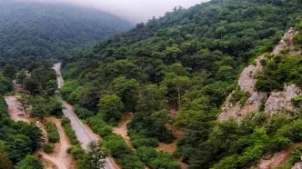 هوشمندسازی پارک ملی گلستان؛ دستور ویژه رئیس‌جمهور