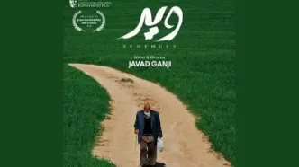 ویر به جشنواره مورد تایید بفتا می‌رود