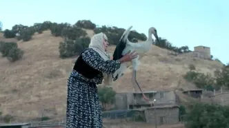 یک مستند ایرانی برنده جشنواره فیلم بوسان شد