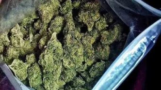 موادفروش سابقه‌دار در شوش دستگیر شد