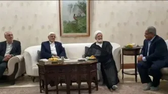 عارف با مهدی کروبی دیدار کرد + جزییات