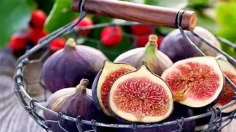 بررسی علمی یک شایعه؛ در انجیری که می خورید، زنبور مرده وجود دارد؟