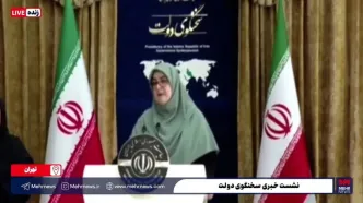 واکنش سخنگوی دولت به برکناری نادره رضایی از معاونت هنری