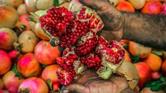 تصاویر؛ انارِ کُهمره سُرخی