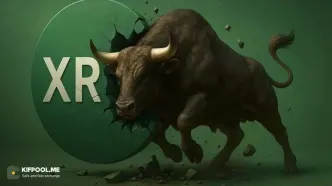 ریپل (XRP) در مسیر ۱۰۰ دلار؟ پیش‌بینی جنجالی بازار