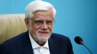 عارف: نباید برای خوشایند یک مسئول یا دستگاه آمار تولید کنیم/ این داده‌ها ناموس حکومت هستند