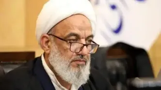 واکنش «آقا تهرانی» به حضور بازرسان آژانس در ایران