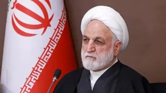 توضیحات اژه‌ای درباره عفو معیاری