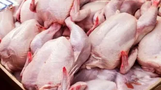 قیمت روز مرغ ۳۱ شهریور ۱۴۰۴؛ نرخ‌های جدید را اینجا چک کنید!