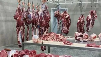 قیمت گوشت قرمز امروز دوشنبه ۱۷ شهریور ۱۴۰۴ اعلام شد + جدول