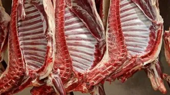 هیاهوی گوشت‌های آلوده وارداتی از مغولستان