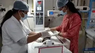 تلاش برای نجات نوزاد زنده به گور شده در شمال هند