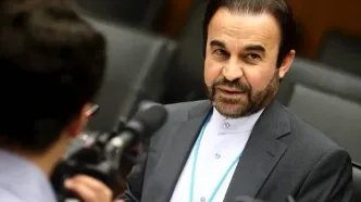 نجفی: کشورها برای عدم حمایت از قطعنامه ایران در آژانس تحت فشار سیاسی قرار گرفته‌اند
