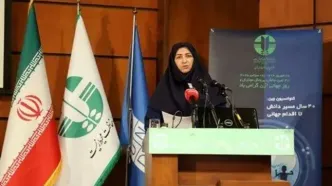 پیگیر تصویب اصلاحیه پروتکل مونترال در مجلس شورای اسلامی هستیم