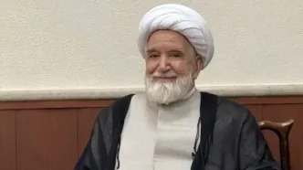 رفع حصر کروبی به سود نظام بود؛ پرونده بقیه را هم ببندید/ آزادی زندانیان سیاسی هم به نفع کشور است