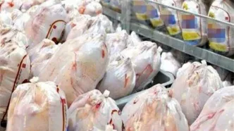 قیمت مرغ تا ۳ روز آینده کاهش می‌یابد