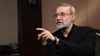 لاریجانی در دیدار با حکیم چه گفت؟