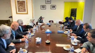 سراج: تحریم‌ها و اقدام‌های یک‌جانبه مهم‌ترین موانع تحقق حق توسعه هستند