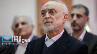 ایران باید چالش تحمیلی هسته‌ای را حل کند؛ توافق اخیر فی‌نفسه روبه‌ جلو است