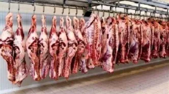 واردات ۲۰۰ هزار تن گوشت قرمز به کشور+ جزئیات