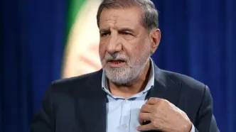 کوثری: تصمیم نهایی خروج از NPT برعهده شورای عالی امنیت ملی است