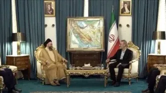 رایزنی حکیم و لاریجانی در تهران + فیلم