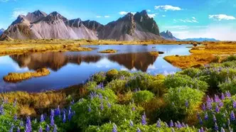 ایسلند؛ تنها سرزمین بدون پشه  و مار در جهان + فیلم