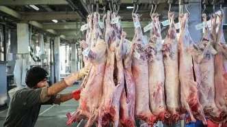 نسخه جدید برای حل گرانی گوشت قرمز