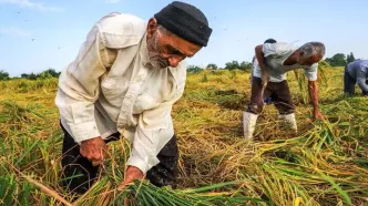 افتتاح مرکز ملی پایش الگوی تولید کشاورزی