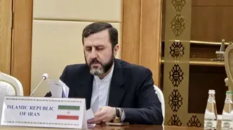 توضیحات غریب‌آبادی درباره فرآیند فعال‌سازی اسنپ‌بک