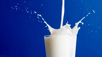 جزئیات چگونگی توزیع شیر در مدارس