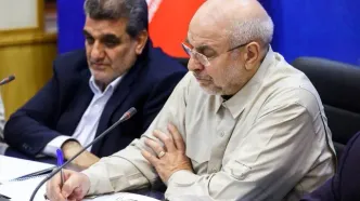 قالیباف: هر کسی بخواهد ارز و طلا وارد کشور کند محدودیتی ندارد