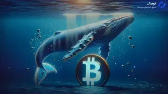 ترک بازار بیت‌کوین توسط نهنگ‌ها، تغییرات بزرگ در راه؟