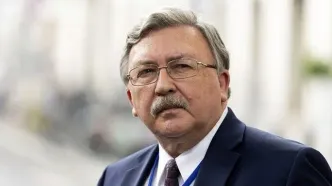 اعتراض اولیانوف به سیاسی کاری آژانس‌