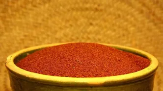 فواید خاکشیر در بارداری؛ چه خواص و مضراتی دارد؟