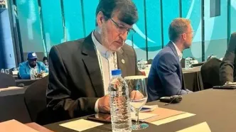 کارگری در کنفرانس IPC: یک روز به نام روز جهانی پارالمپیک نامگذاری شود