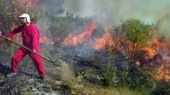 خاکستر شدن ۸ هکتار پوشش گیاهی میانکاله