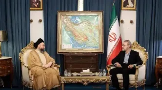 درخواست لاریجانی از عراقی‌ها در دیدار با عمار حکیم