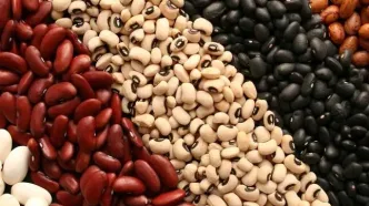 آغاز ثبت سفارش حبوبات سهمیه فصل پاییز از ۲۹ شهریور