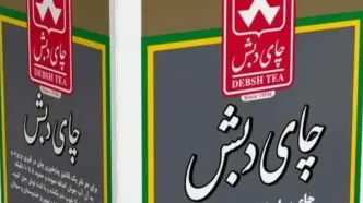 ضبط یک ویلای ۸ هزار متری از متهم ردیف اول پرونده چای دبش