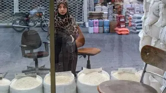 دلیل التهاب در بازار برنج ایرانی/ واردات برنج پاکستانی متوقف شد