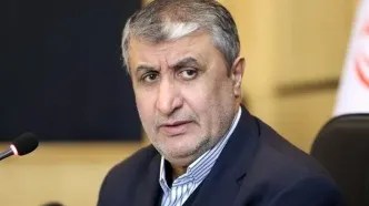 آژانس در حمله نظامی به ایران هماهنگ بود