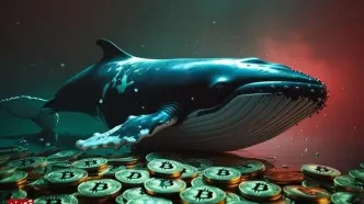 بیت‌کوین از پس مقاومت 116500 دلار برنیامد | بازار رمزارز وارد آلت‌سیزن شد، آلت‌کوین‌ها جذاب شدند